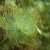 JPEG_2010